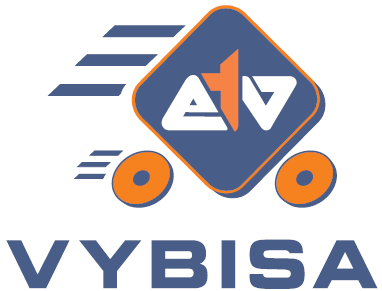 VYBISA Logo